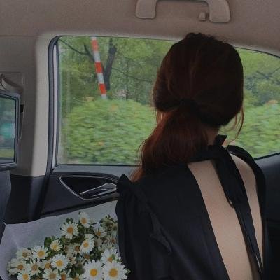 不好皇上又被我剧透了