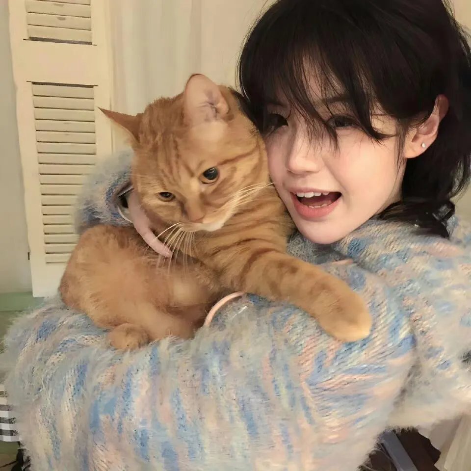 魔都拆迁户爱上我